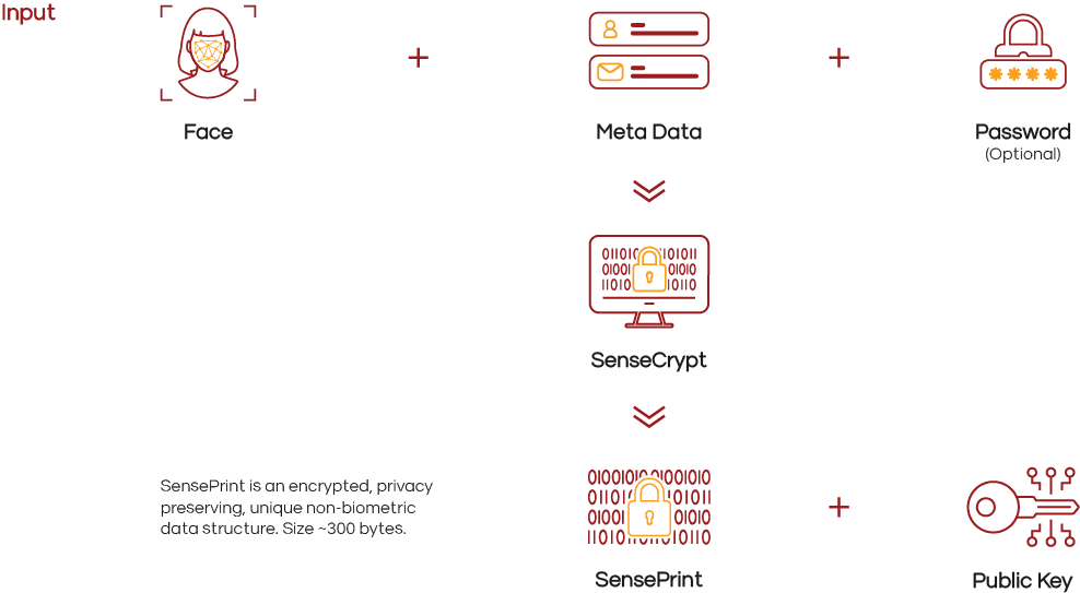 SenseCrypt PKI - How it Works