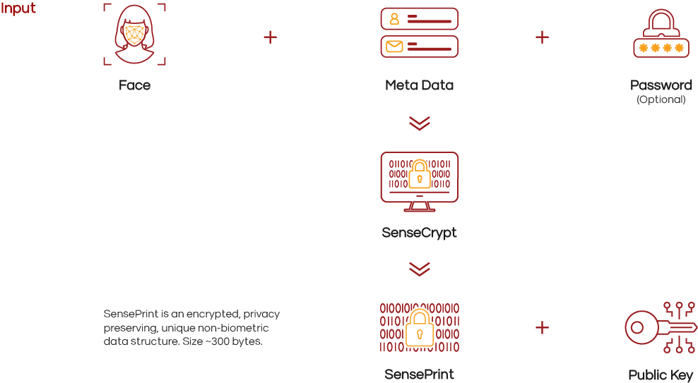 Infographic illustrating data encryption flow: A face icon combines with metadata and an optional password to create a SensePrint, integrating secure identity verification through SenseCrypt. SensePrint outputs smaller encrypted data, secured with a public key. Text explains the process.